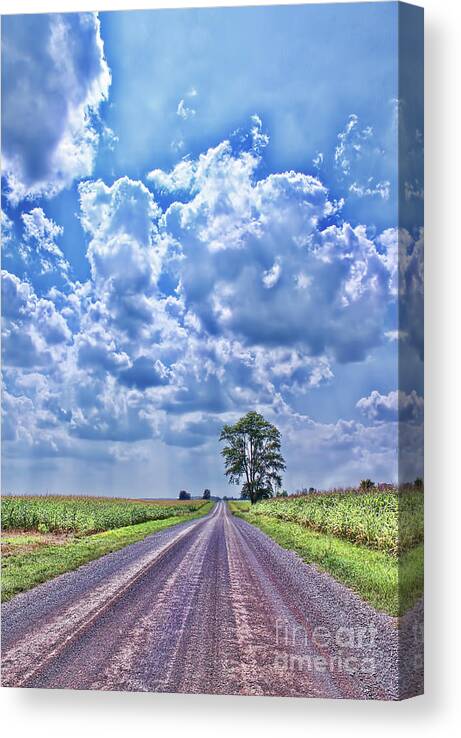 Farming Canvas Print featuring the photograph Knowing The Right Way by Cathy Beharriell