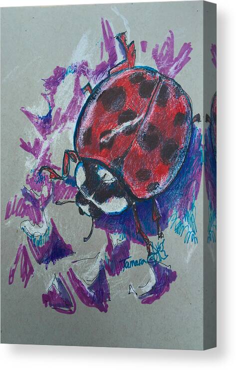 Tamara Kulish Canvas Print featuring the painting Ladybug on a Wall by Tamara Kulish
