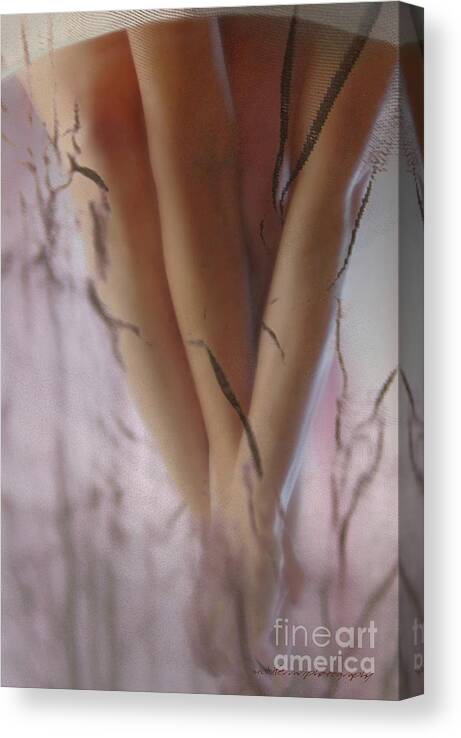 Vicki Ferrari Photography Canvas Print featuring the photograph Legs by Vicki Ferrari