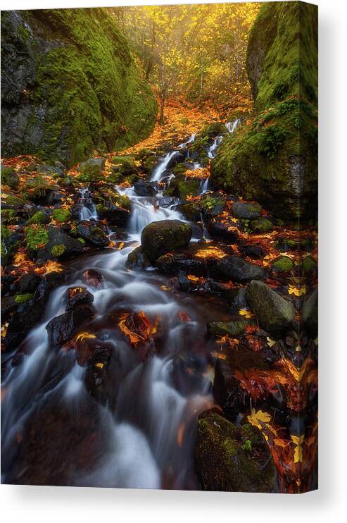 Fall Canvas Print featuring the photograph Let the water fall by Darren White