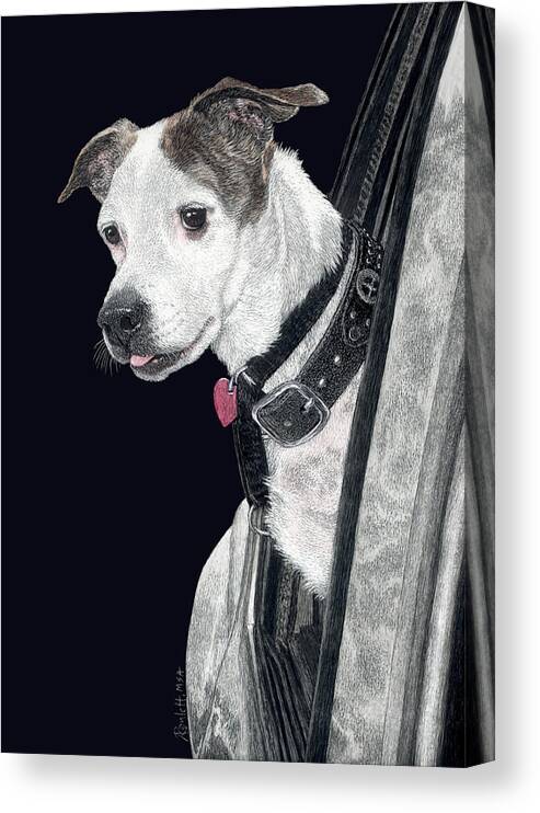 Dog Art Canvas Print featuring the drawing Let's Go by Ann Ranlett