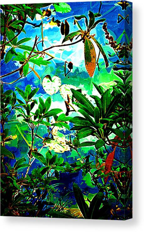 Leaves Canvas Print featuring the photograph Lilly Pods by Dale Stillman