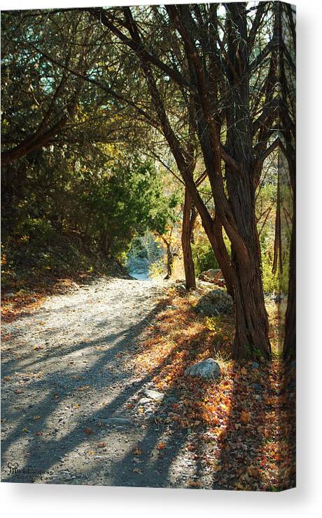 Nature Canvas Print featuring the photograph Lost Maples State Park Path 4 by Karen Musick