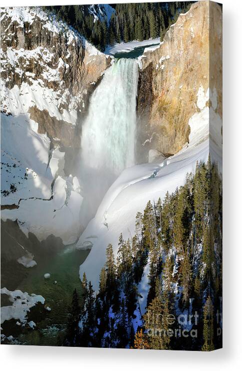 Lower Yellowstone Falls Canvas Print featuring the photograph Lower Yellowstone Falls by Wildlife Fine Art