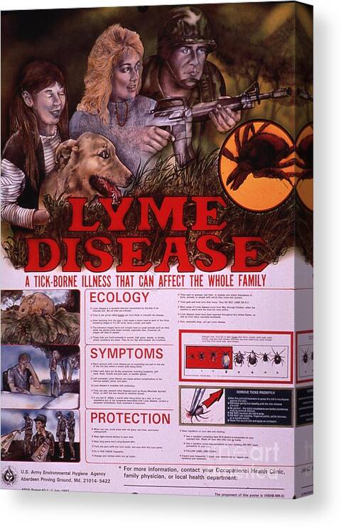 Medical Vintage Poster Canvas Print featuring the painting Lyme disease by MotionAge Designs