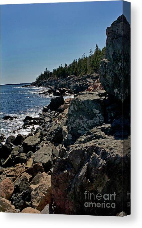 Nature Canvas Print featuring the photograph Maine Coast by Skip Willits