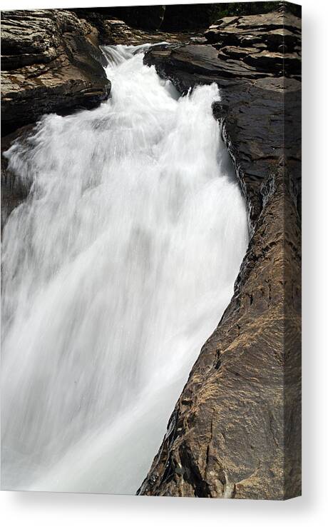 Meadow Run Canvas Print featuring the photograph Meadow Run Water Slide 1 by Larry Ricker