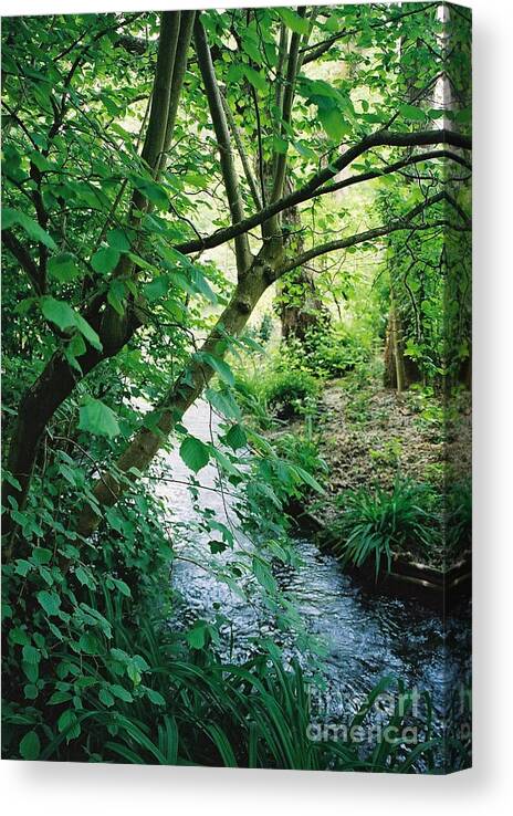Photography Canvas Print featuring the photograph Monet's Garden Stream by Nadine Rippelmeyer
