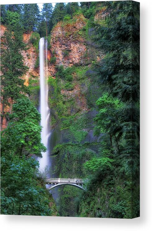 Multnomah Falls Canvas Print featuring the photograph Multnomah Falls Portland Oregon by Robert Bellomy