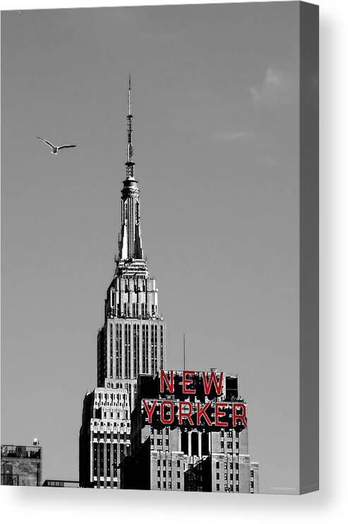 New Yorker Canvas Print featuring the photograph New Yorker by Dark Whimsy