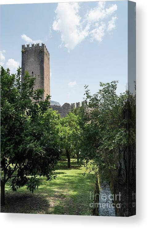 Bamboo Canvas Print featuring the photograph Ninfa Garden, Rome Italy 8 by Perry Rodriguez