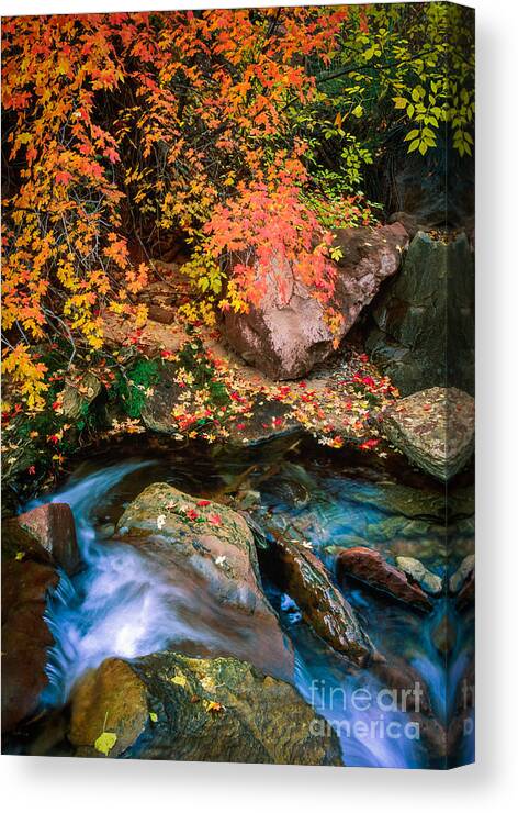America Canvas Print featuring the photograph North Creek Fall Foliage by Inge Johnsson