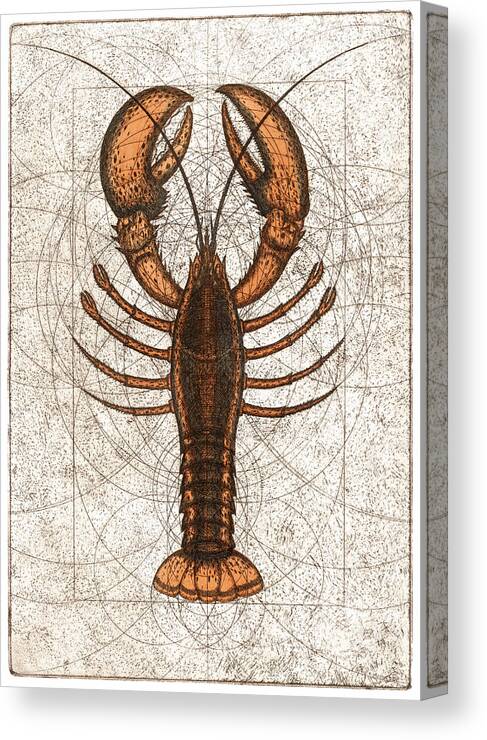 Lobster Canvas Print featuring the painting Northern Lobster by Charles Harden