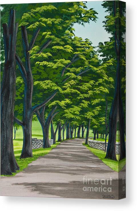 Colgate University Oak Drive Canvas Print featuring the painting Oak Drive by Charlotte Blanchard