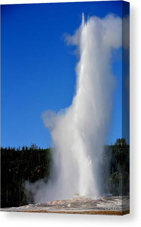 Yellowstone National Park Canvas Print featuring the photograph Old Faithful by Carrie Putz