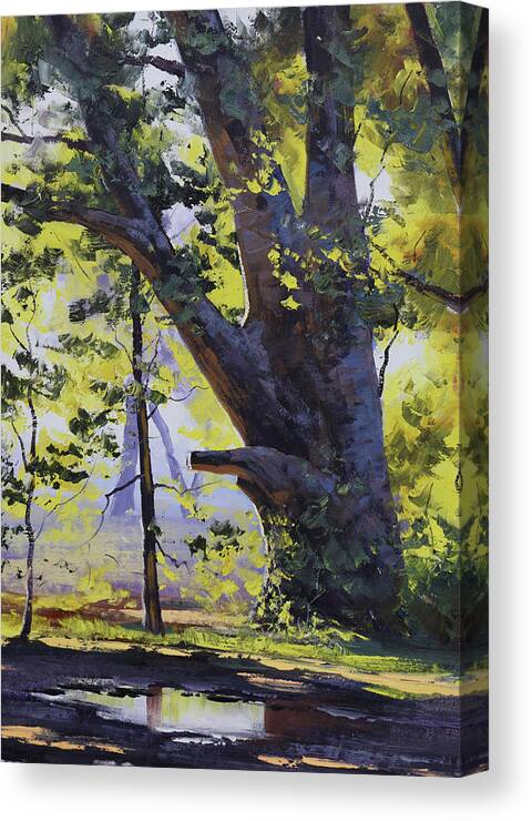 Nature Canvas Print featuring the painting Old Oak tree by Graham Gercken