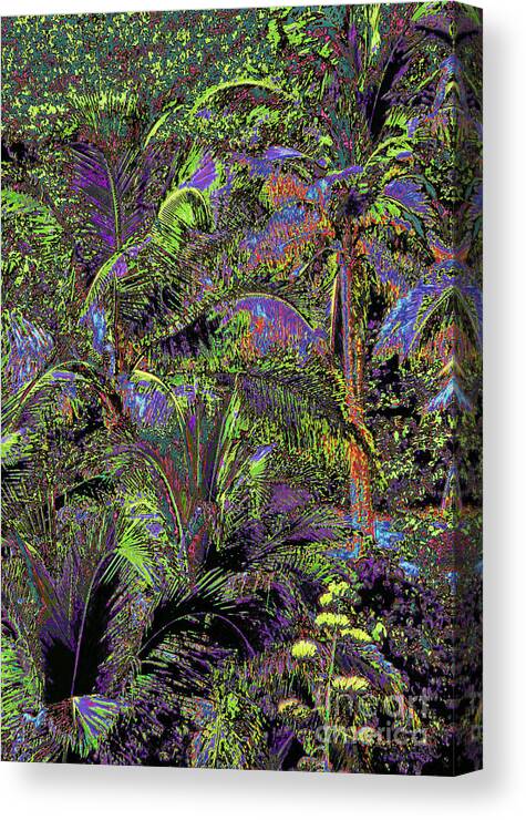 Palm Canvas Print featuring the photograph Palm 1019 by Corinne Carroll