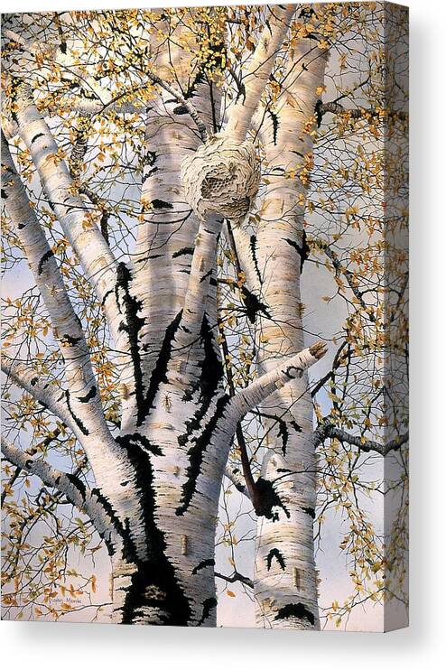 Birch Tree Canvas Print featuring the painting Paper-Wasp Nest by Conrad Mieschke