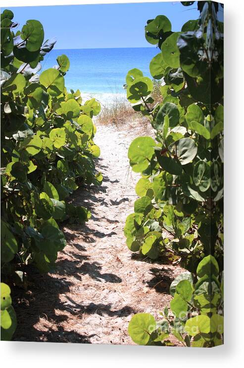 Path Canvas Print featuring the photograph Path to Beach by Carol Groenen