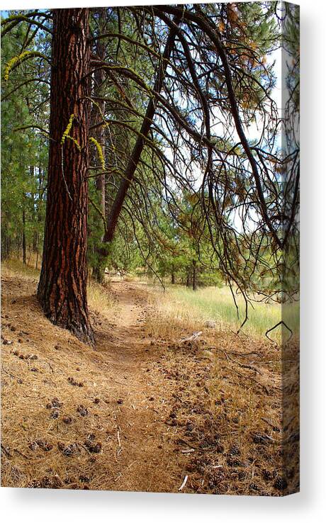 Nature Canvas Print featuring the photograph Path to Enlightenment 2 by Ben Upham III