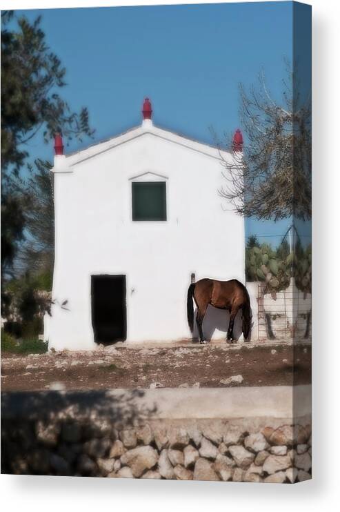  Canvas Print featuring the photograph Peacefull country life by Pedro Cardona Llambias