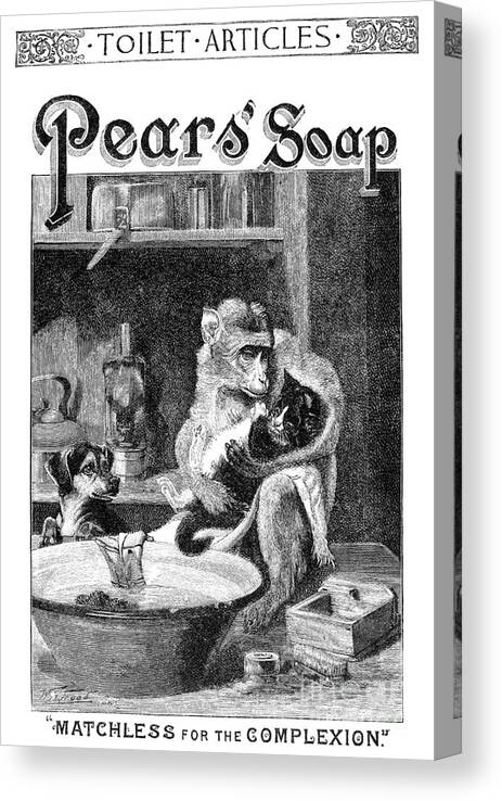 1888 Canvas Print featuring the photograph Pears Soap Ad, 1888 by Granger