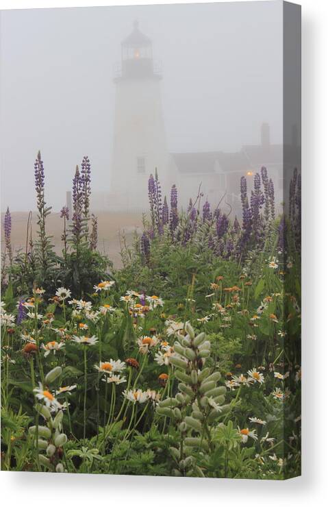 Lighthouse Canvas Print featuring the photograph Pemaquid Point Lighthouse Lupines and Flowers in Fog by John Burk