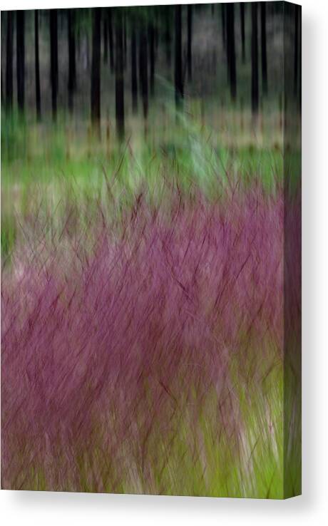 Trees Canvas Print featuring the photograph Ponderosa With Grass by Deborah Hughes