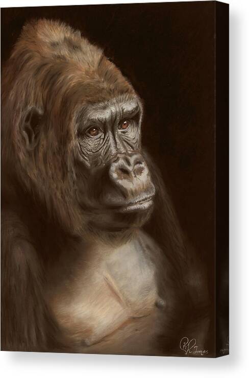 Gorilla Canvas Print featuring the pastel Primal by Kirsty Rebecca