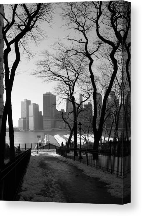 Brooklyn Heights Promenade Canvas Print featuring the photograph Promenade Trees by Christopher J Kirby