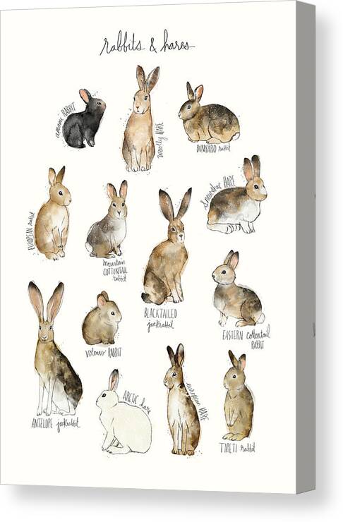 Rabbits Canvas Print featuring the painting Rabbits and Hares by Amy Hamilton