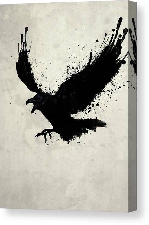Raven Bird Sketch Spatter Drips Animal Wildlife Crow Hugin Munin Odin Mythological Viking Poe Nevermore Digital Illustration Canvas Print featuring the digital art Raven by Nicklas Gustafsson