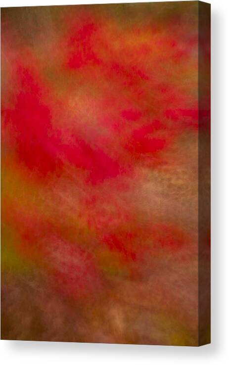 Impressionistic Canvas Print featuring the photograph Red Dancer by Irwin Barrett