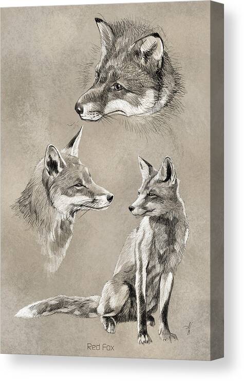 Fox Canvas Print featuring the digital art Red Fox by Arie Van der Wijst