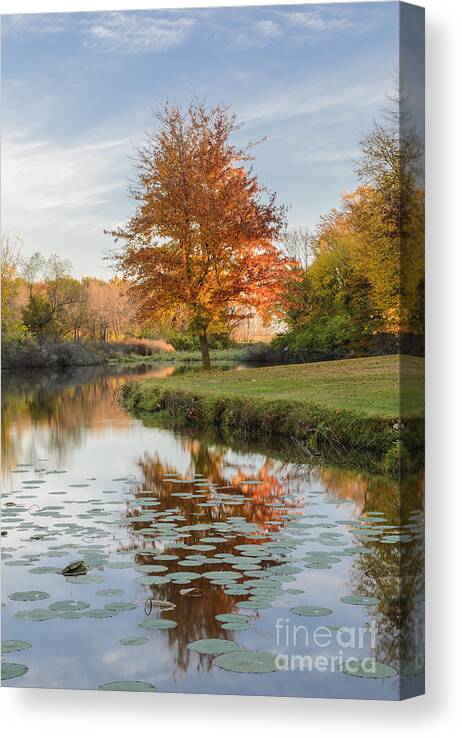 Red Maple Tree Canvas Print featuring the photograph Red Maple Tree Reflection at Sunrise by Tamara Becker