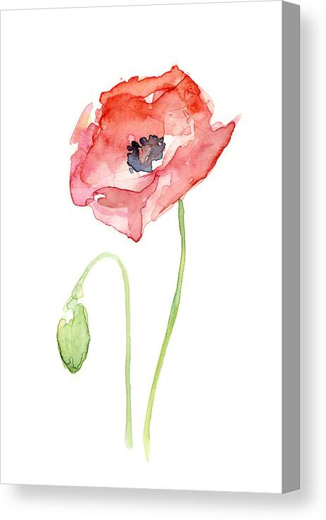 Poppy Canvas Print featuring the painting Red Poppy by Olga Shvartsur