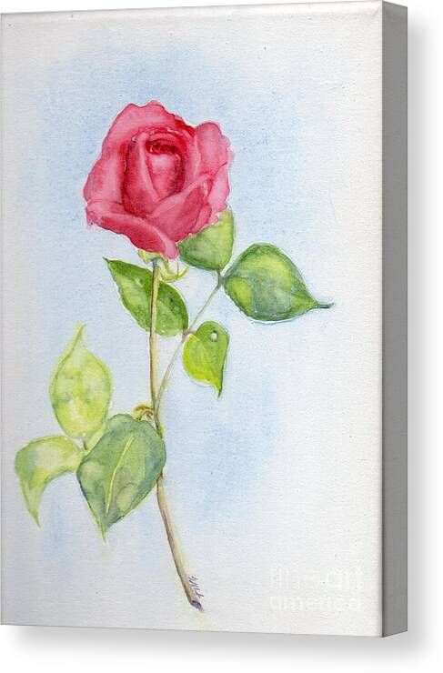 Rose Canvas Print featuring the painting Red Rose by Doris Blessington