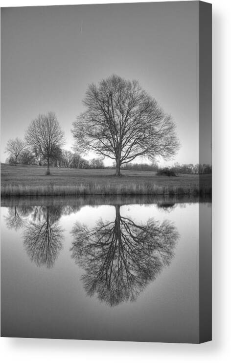 Landscape Canvas Print featuring the photograph Reflection x 3 by David Waldrop