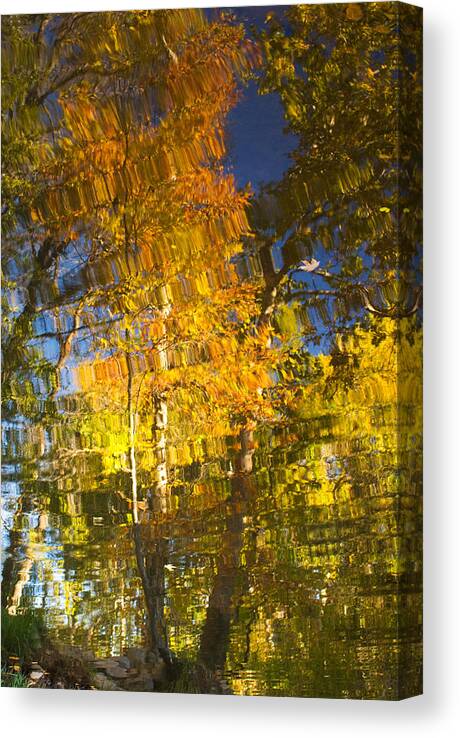 Abstract Canvas Print featuring the photograph Reflections of Fall - Grasshopper Point by Bob Coates
