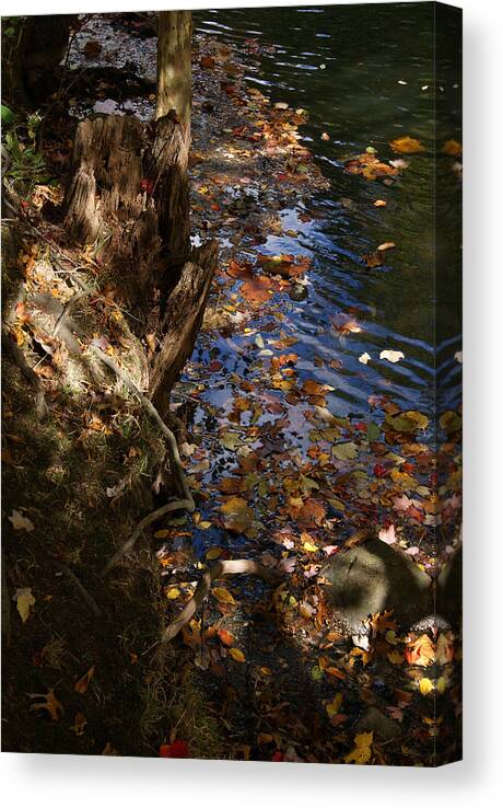 Riverbank Canvas Print featuring the photograph Riverbank view by Margie Avellino