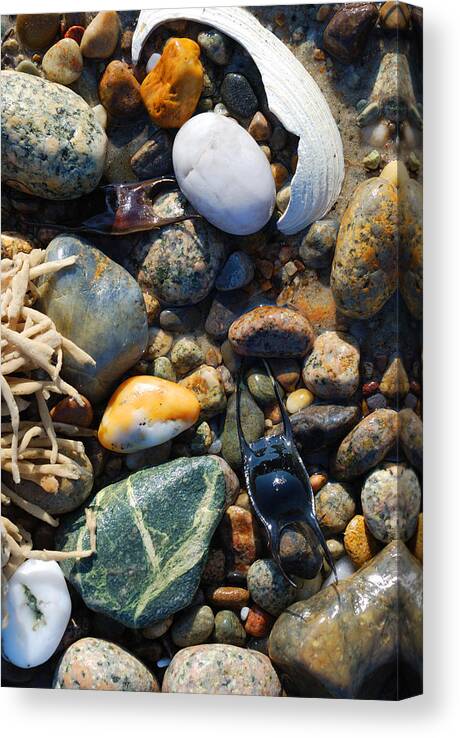 Rocks Canvas Print featuring the photograph Rocks and Shells on Sandy Neck Beach by Charles Harden
