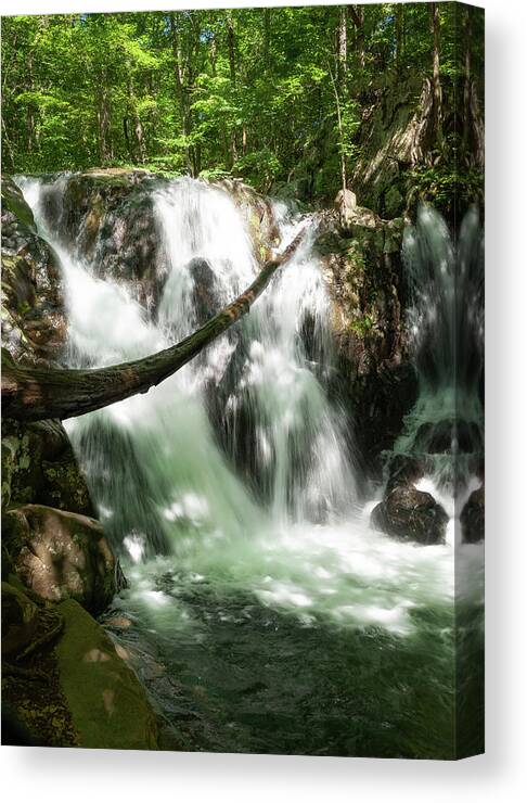 Rose River Falls Canvas Print featuring the photograph Rose River Falls 1 by Lara Ellis