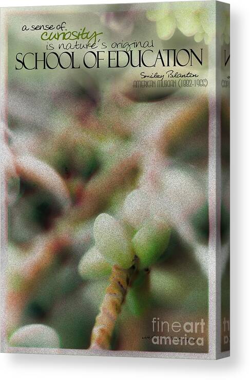 Palm Pods Canvas Print featuring the photograph School of Curiosity 09 by Vicki Ferrari