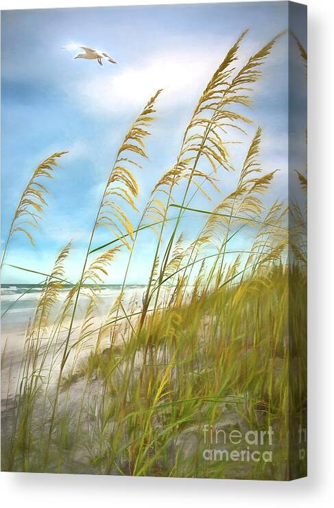 Beach Canvas Print featuring the photograph Seaoats Fantasy by Linda Olsen