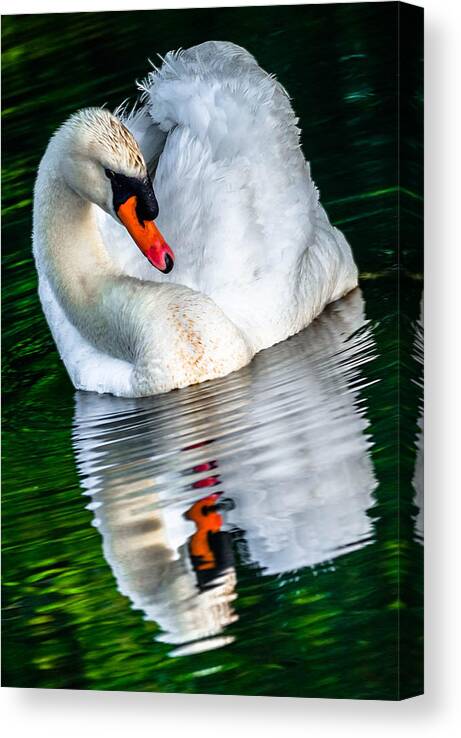  Canvas Print featuring the photograph Serene Green by Brian Stevens