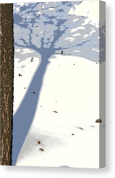 Shadow Canvas Print featuring the photograph Shadow by Julie Lueders 