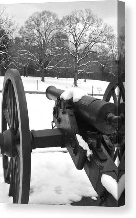 Snow Canvas Print featuring the photograph Snow Canon by George Taylor