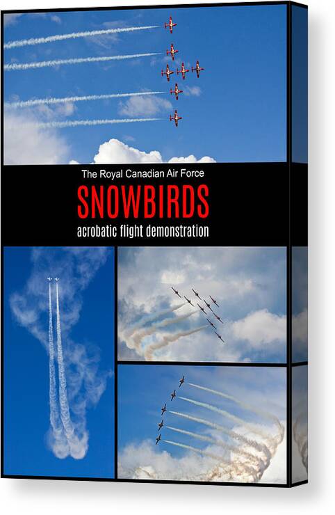 Snowbirds Canvas Print featuring the photograph Snowbirds Collage 2 by Tatiana Travelways