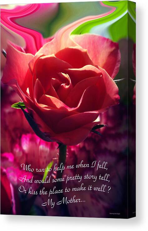Flowers Canvas Print featuring the photograph Softly... by Arthur Miller
