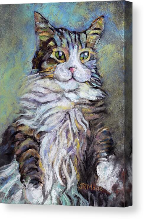 Colorful Long-hair Cat Canvas Print featuring the pastel Sophia by Julie Maas